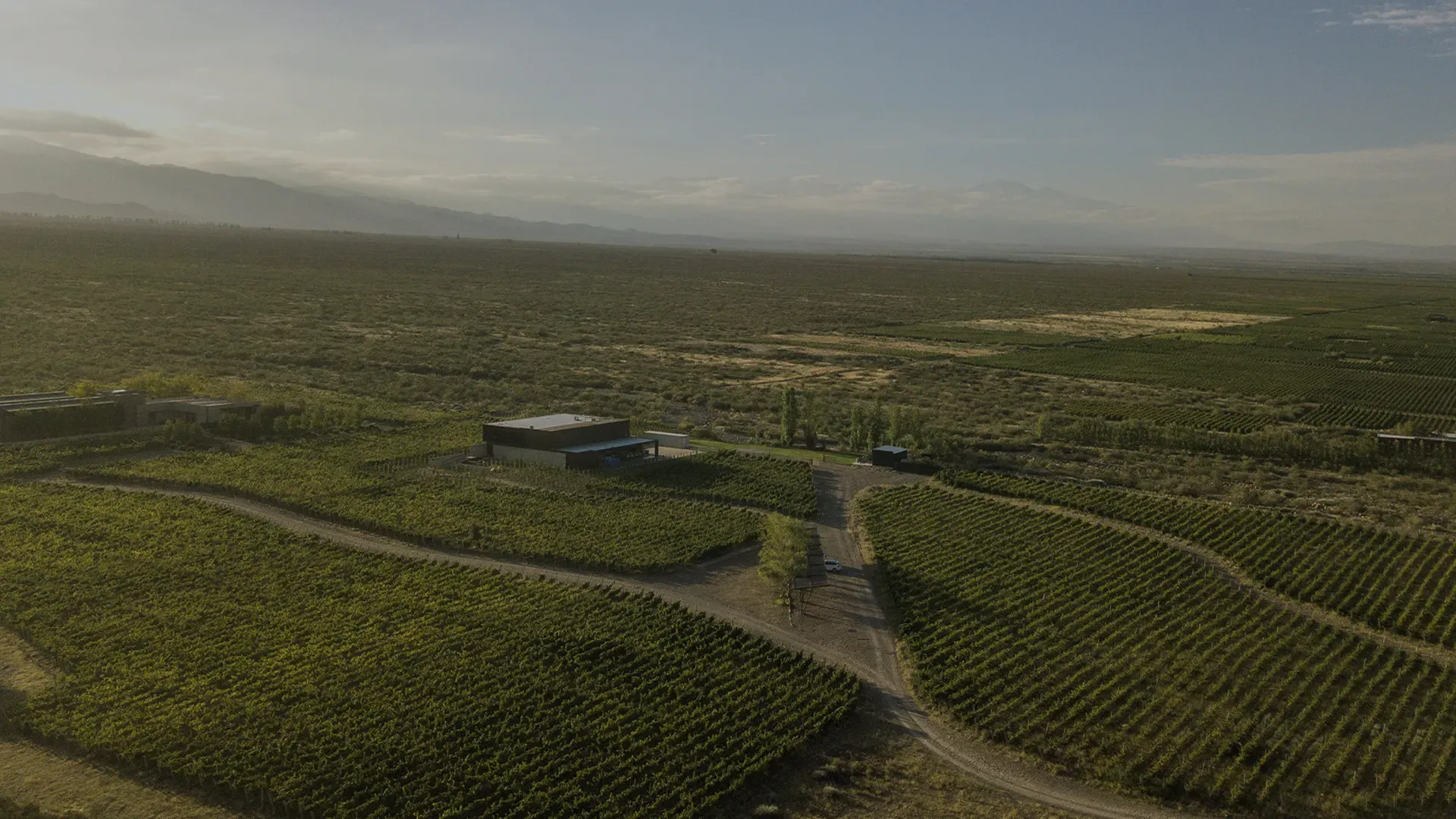 Bodega Corazón del Sol