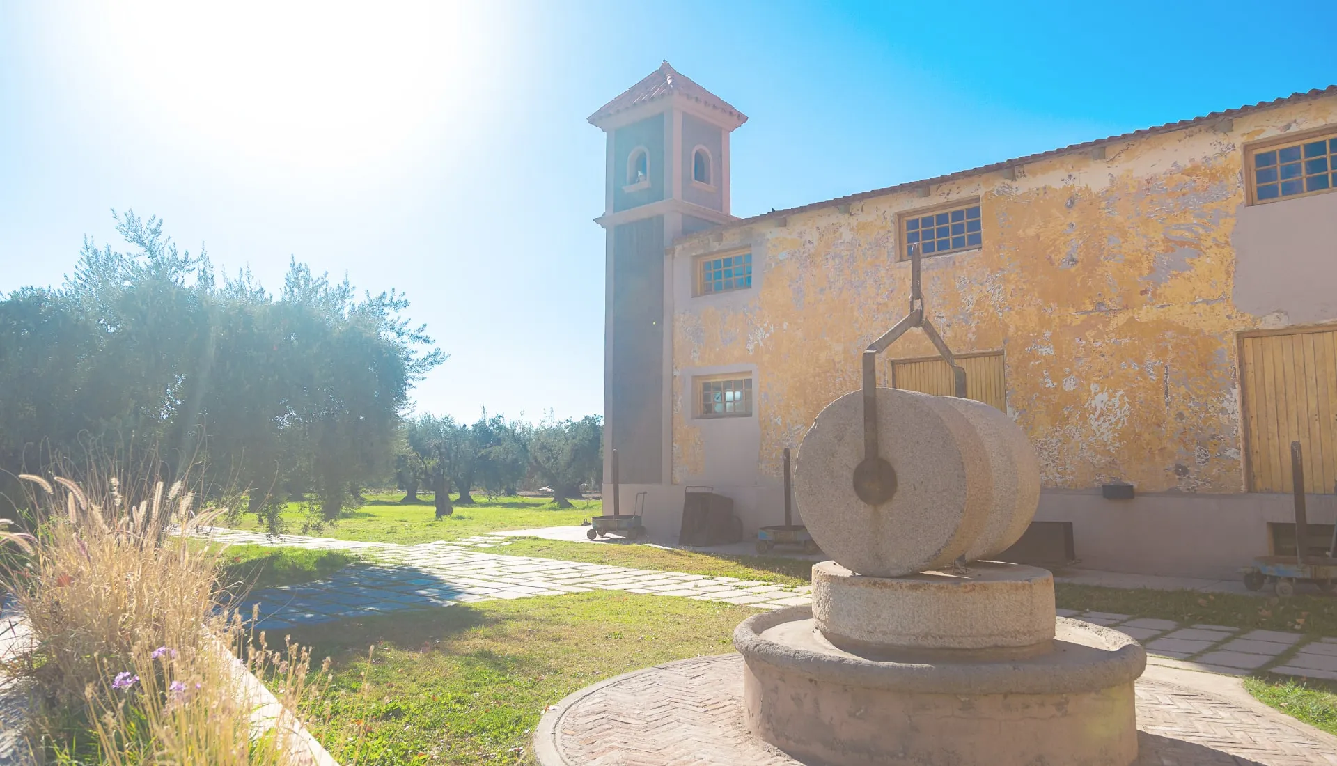 Olivícola Laur & Acetaia Millán